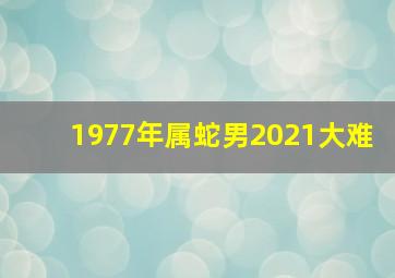 1977年属蛇男2021大难