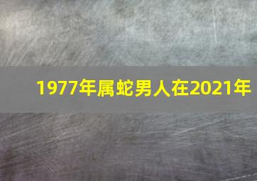 1977年属蛇男人在2021年