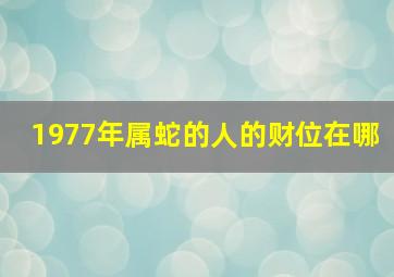 1977年属蛇的人的财位在哪