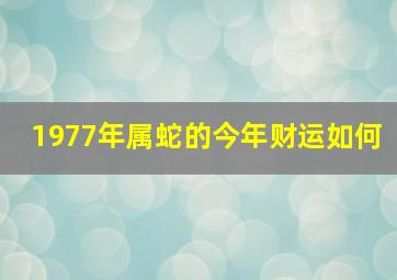 1977年属蛇的今年财运如何