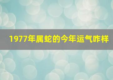 1977年属蛇的今年运气咋样