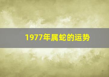 1977年属蛇的运势