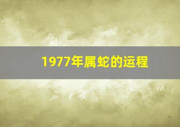 1977年属蛇的运程