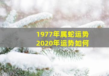 1977年属蛇运势2020年运势如何