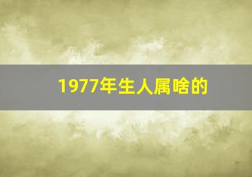 1977年生人属啥的