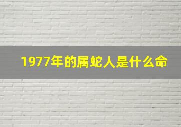 1977年的属蛇人是什么命