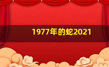 1977年的蛇2021