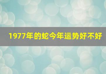 1977年的蛇今年运势好不好