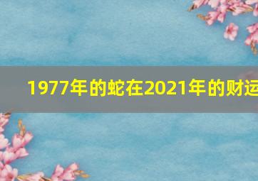 1977年的蛇在2021年的财运