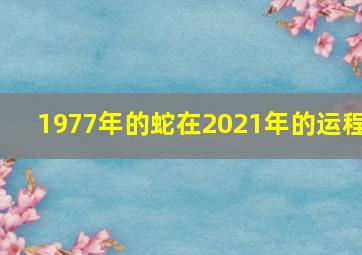 1977年的蛇在2021年的运程