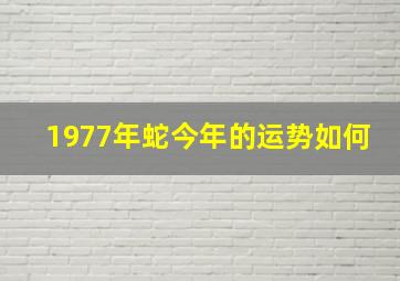 1977年蛇今年的运势如何