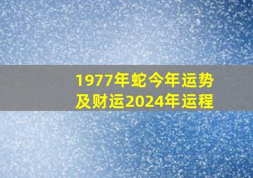 1977年蛇今年运势及财运2024年运程