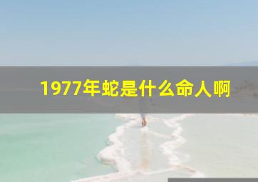 1977年蛇是什么命人啊