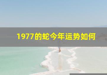 1977的蛇今年运势如何