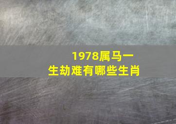 1978属马一生劫难有哪些生肖