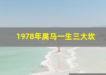 1978年属马一生三大坎