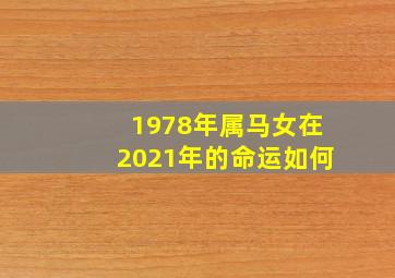 1978年属马女在2021年的命运如何