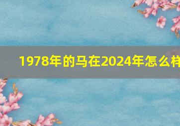 1978年的马在2024年怎么样