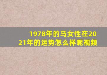 1978年的马女性在2021年的运势怎么样呢视频