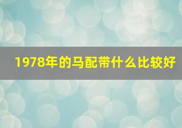 1978年的马配带什么比较好