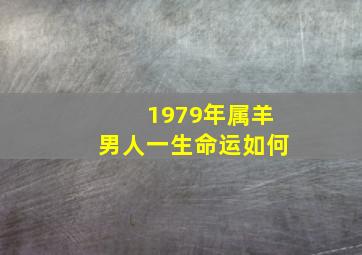 1979年属羊男人一生命运如何