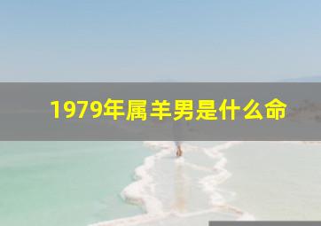 1979年属羊男是什么命