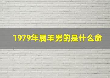 1979年属羊男的是什么命