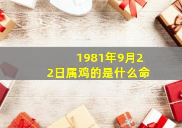 1981年9月22日属鸡的是什么命