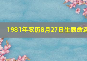 1981年农历8月27日生辰命运