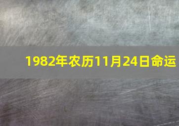 1982年农历11月24日命运