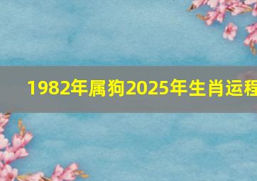 1982年属狗2025年生肖运程