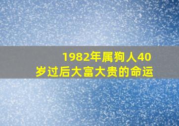 1982年属狗人40岁过后大富大贵的命运