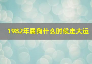 1982年属狗什么时候走大运