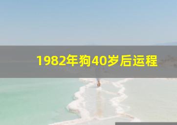 1982年狗40岁后运程