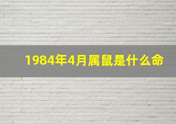 1984年4月属鼠是什么命