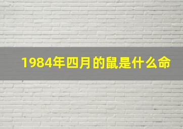 1984年四月的鼠是什么命