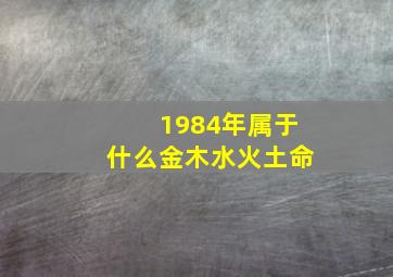 1984年属于什么金木水火土命