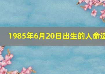 1985年6月20日出生的人命运