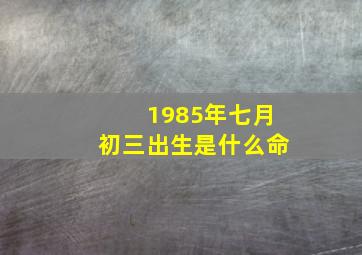 1985年七月初三出生是什么命