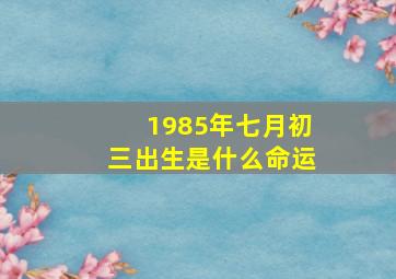 1985年七月初三出生是什么命运