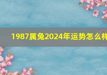 1987属兔2024年运势怎么样