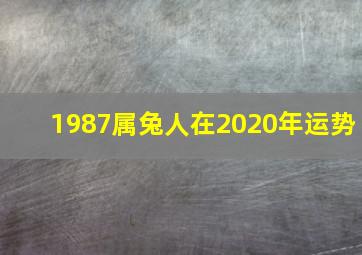 1987属兔人在2020年运势