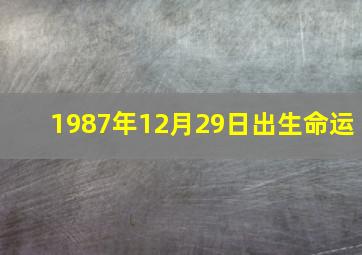 1987年12月29日出生命运