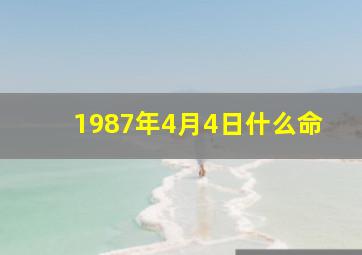 1987年4月4日什么命