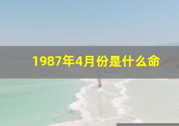 1987年4月份是什么命