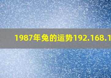 1987年兔的运势192.168.1.1