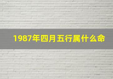 1987年四月五行属什么命