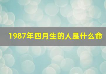 1987年四月生的人是什么命