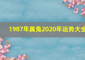 1987年属兔2020年运势大全