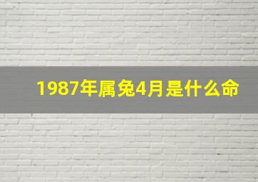 1987年属兔4月是什么命